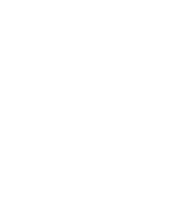BlackCrows