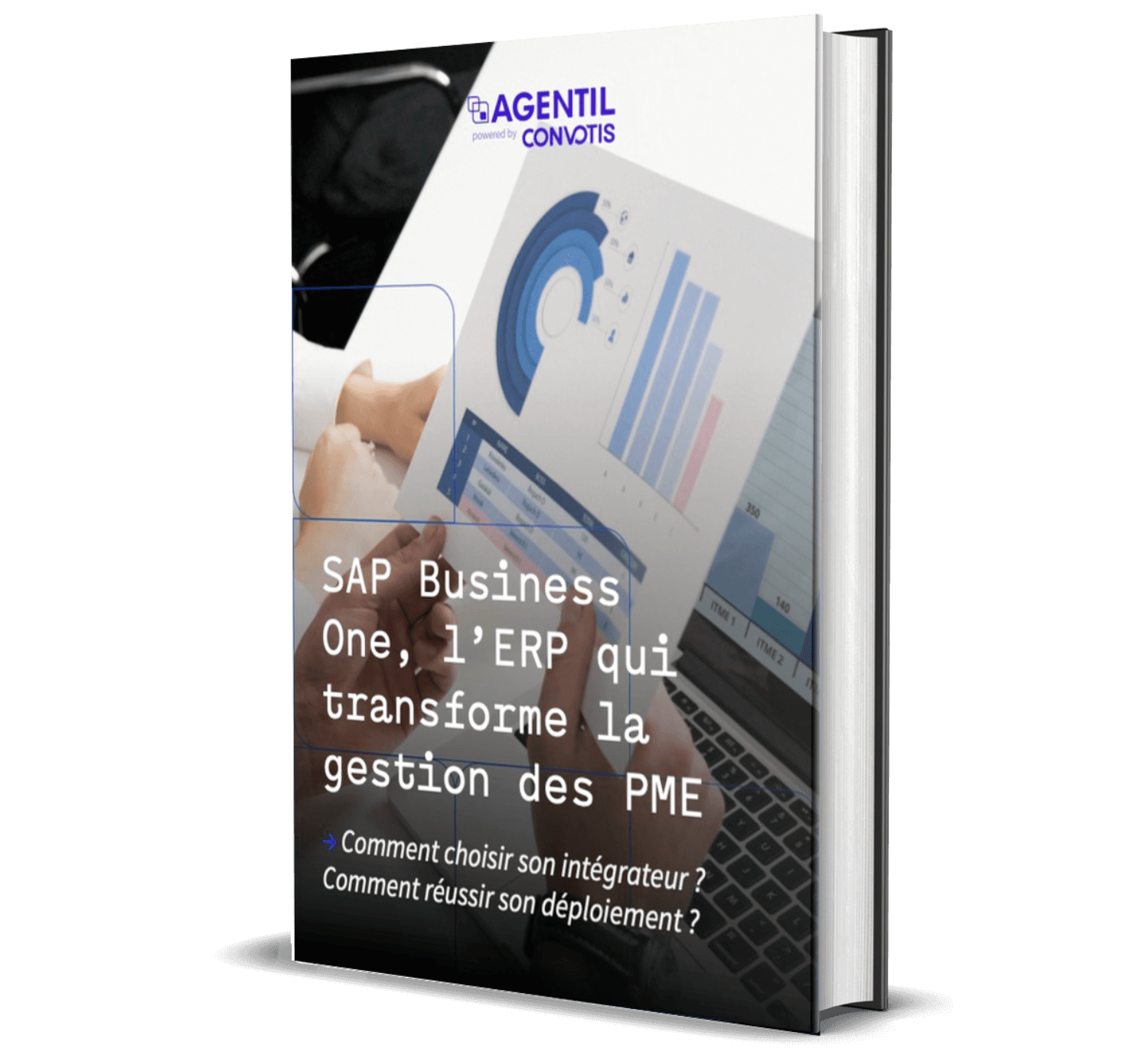 Guide SAP S/4HANA